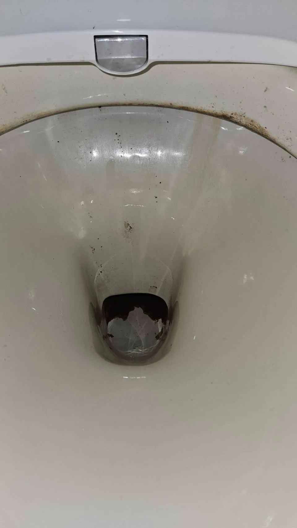 木更津市　トイレクリーニング