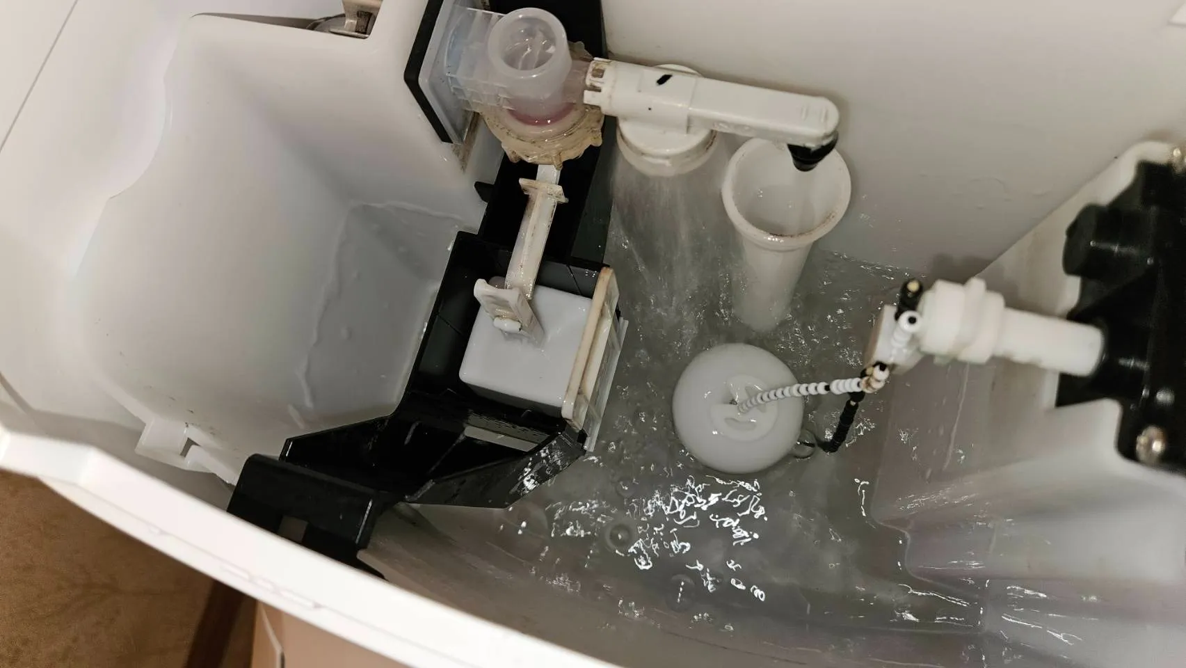 木更津市　トイレクリーニング